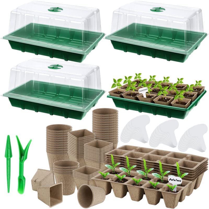 Hahood seed-starter-tray-set shown for organized germination and easy transplanting.
