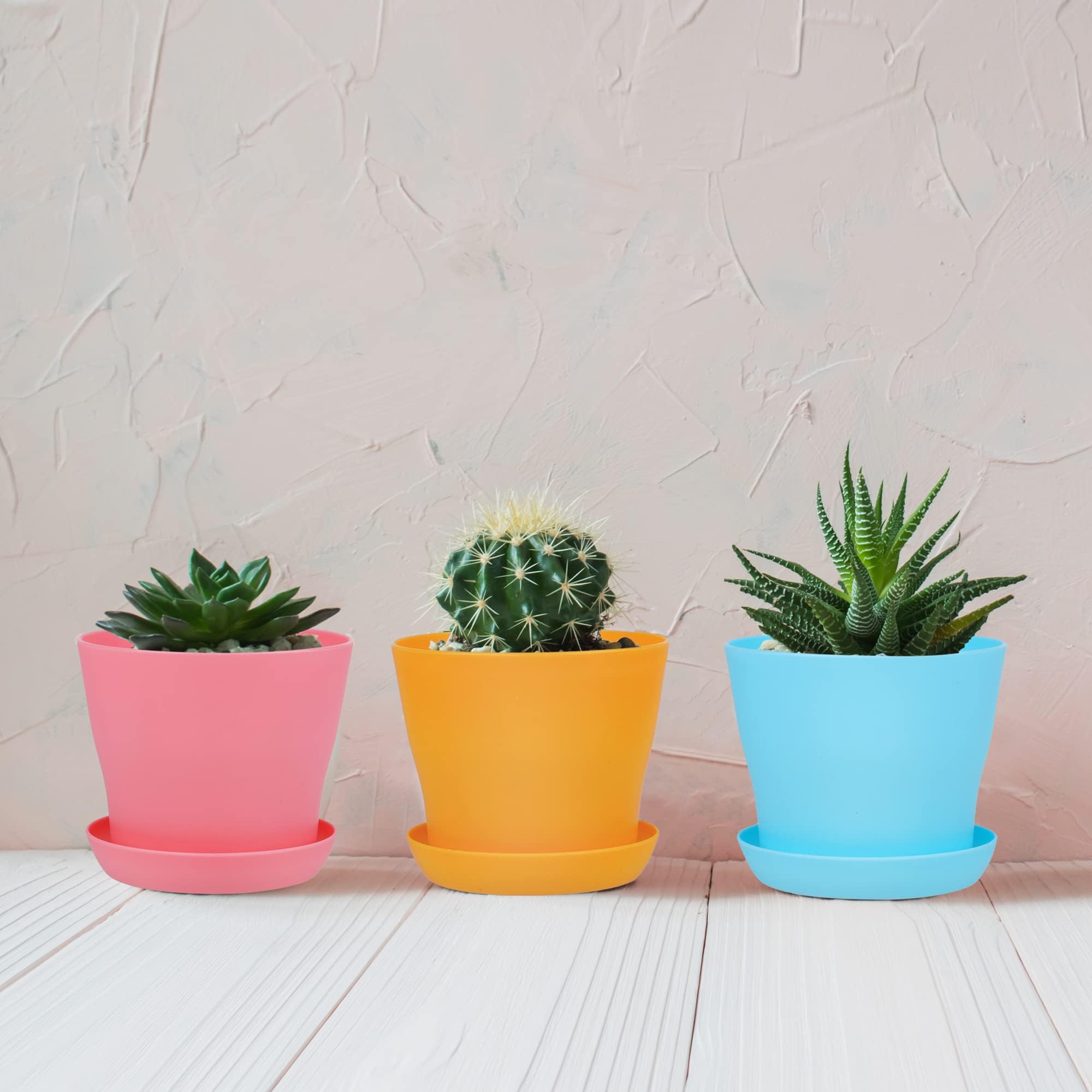 Hahood seed-starting pots suitable for indoor and outdoor use