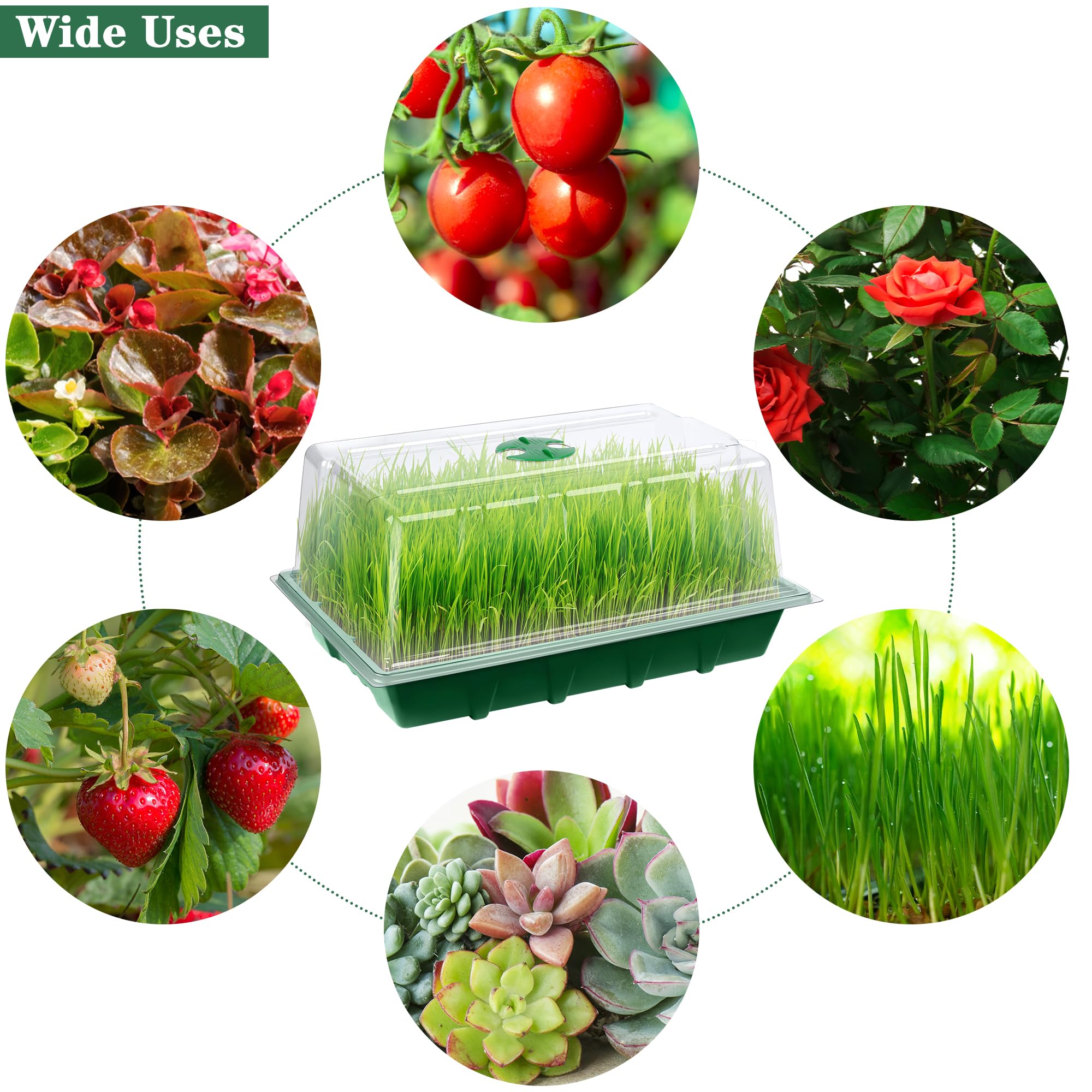 Hahood small gardening tools simplify transplanting and care