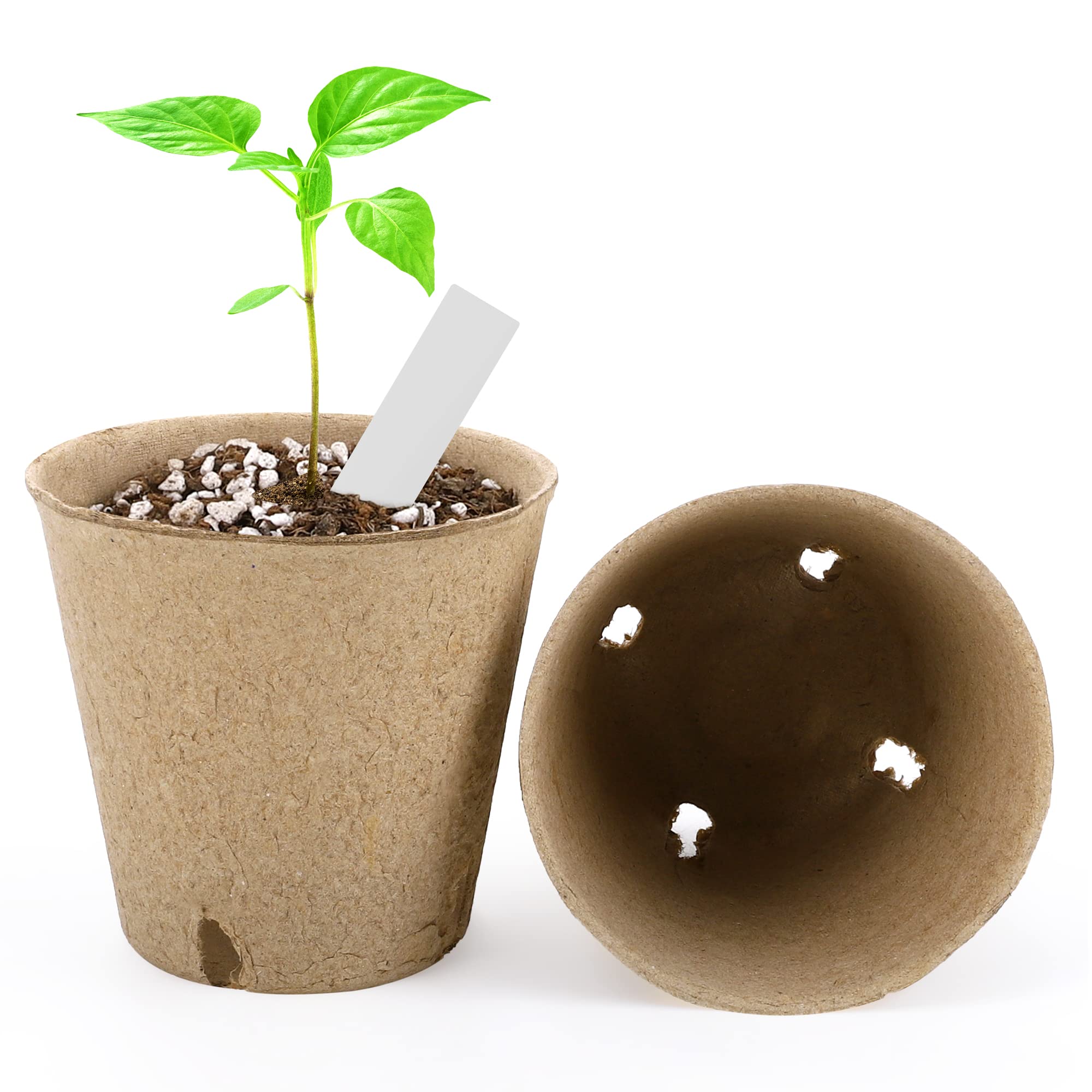 Hahood compact kit supports seedling transport and centralized planting.
