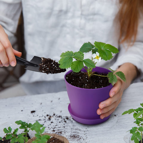 Hahood pots suited for indoor and outdoor mini plants and herbs.