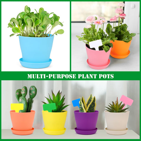 Hahood multicolor set brightens a small garden or desk nook.