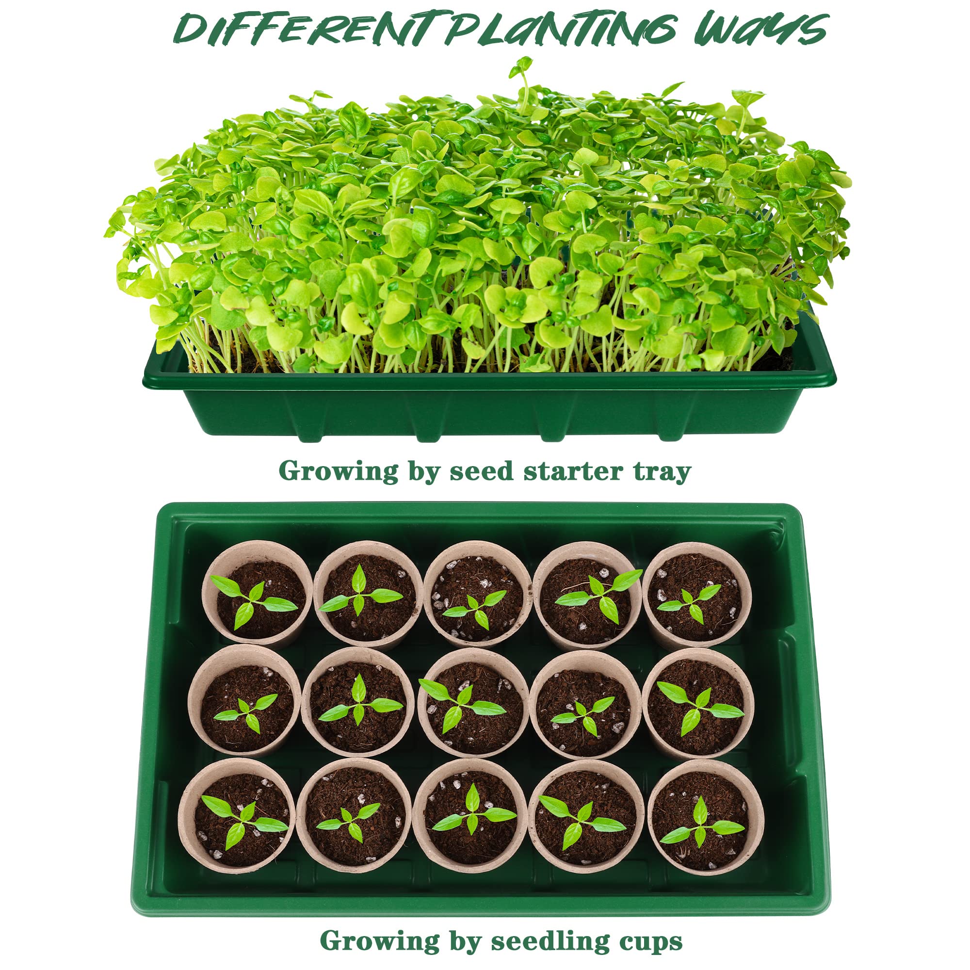 Hahood ten-cells seedling cups in a compact tray.