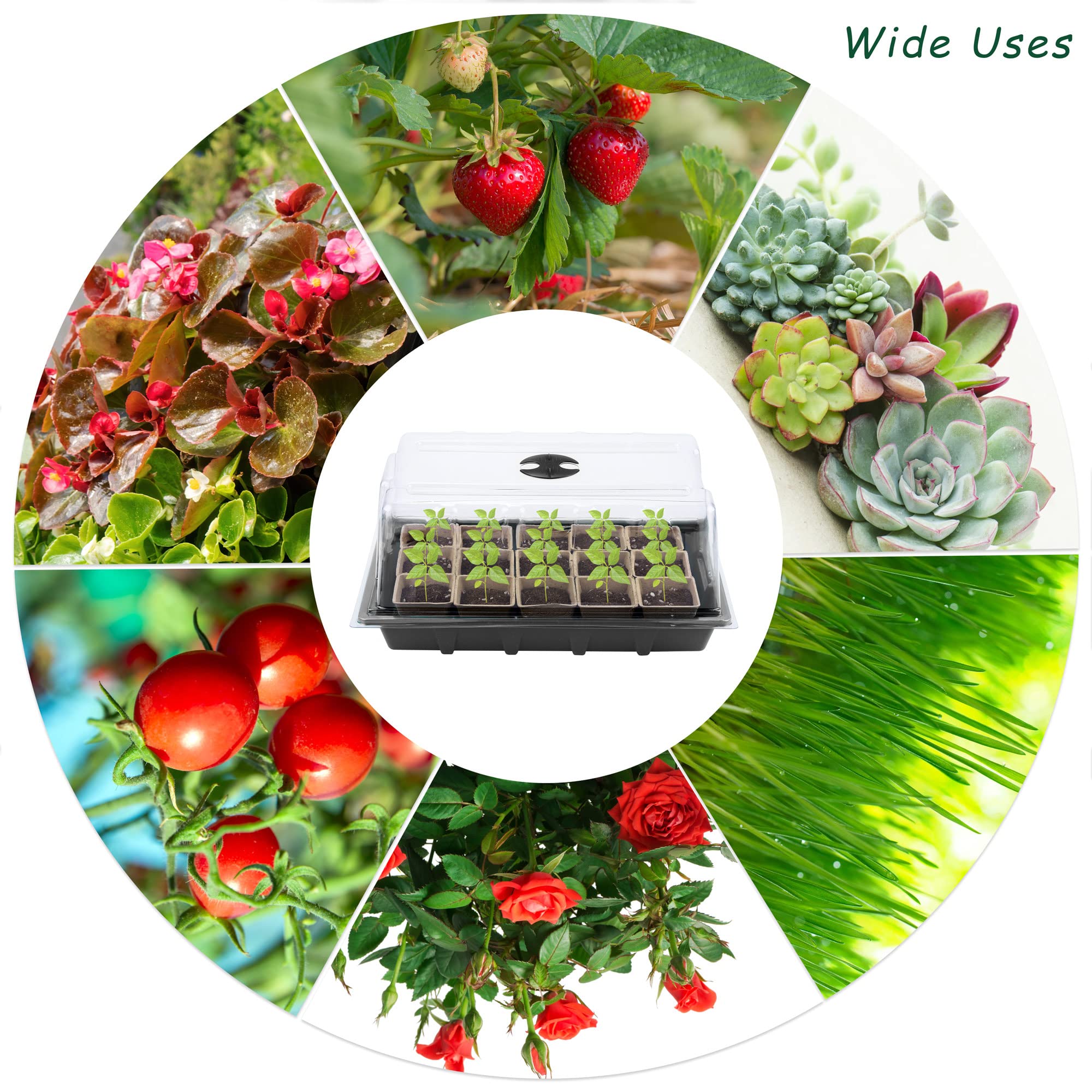Hahood transparent lid for seed tray preserves heat and humidity.