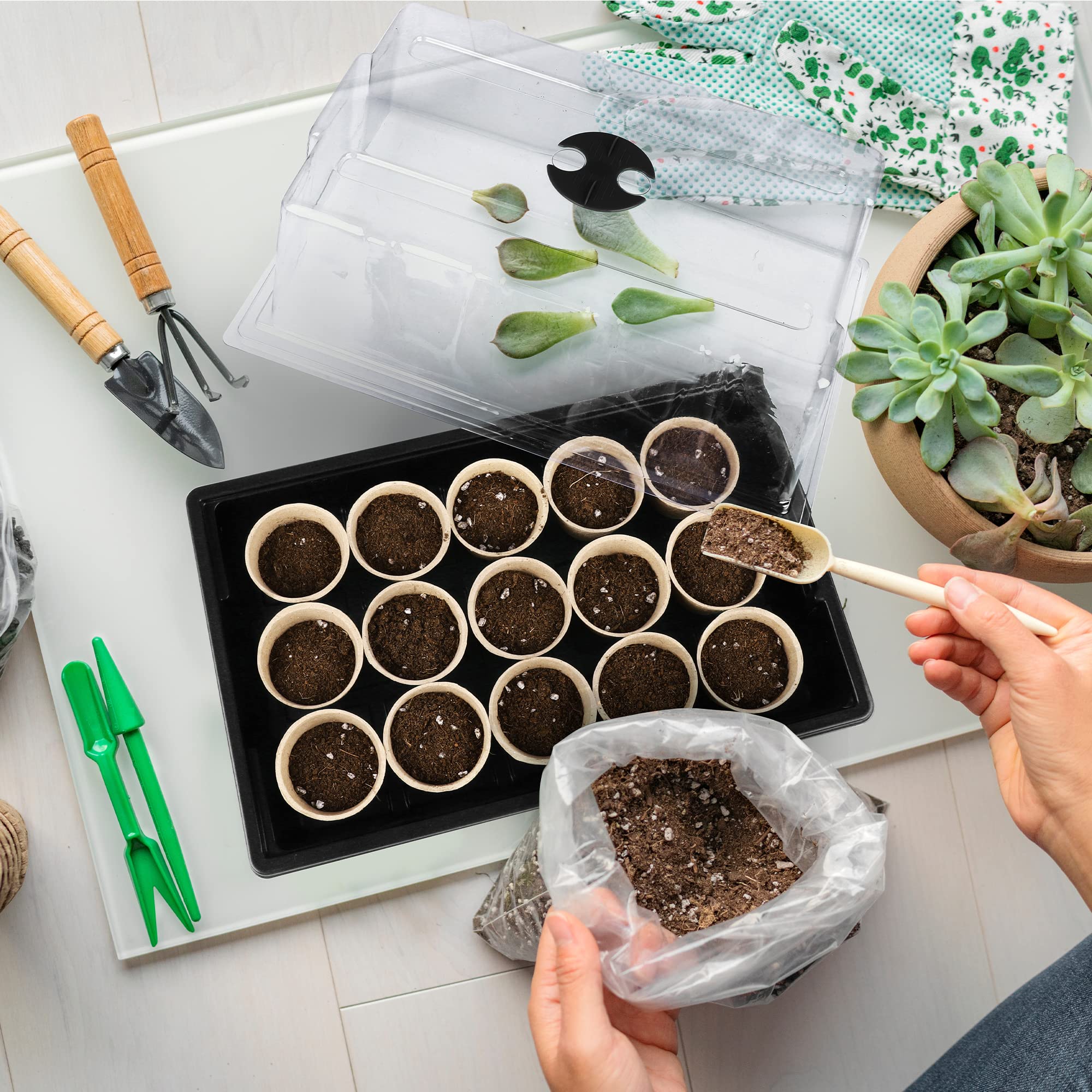 Hahood transparent lid helps monitor humidity during germination.