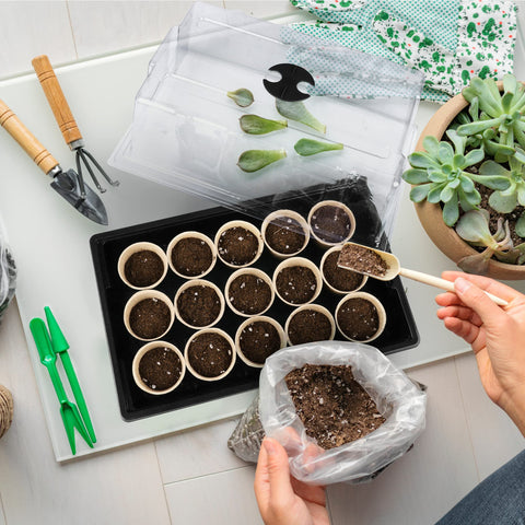 Hahood transparent lid helps monitor humidity during germination.