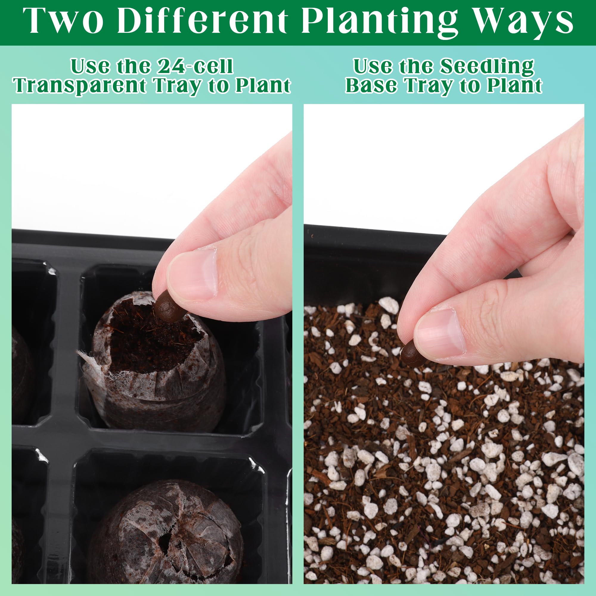 Hahood transparent tray base lets you monitor seedling progress.