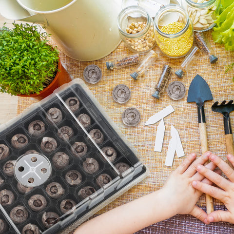 Hahood wide-use seedling tray supports herbs, flowers, and vegetables.