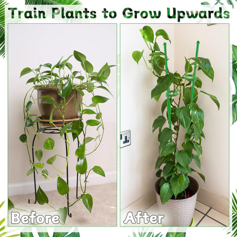 HAINANSTRY adjustable-length design enables flexible support as plants grow taller