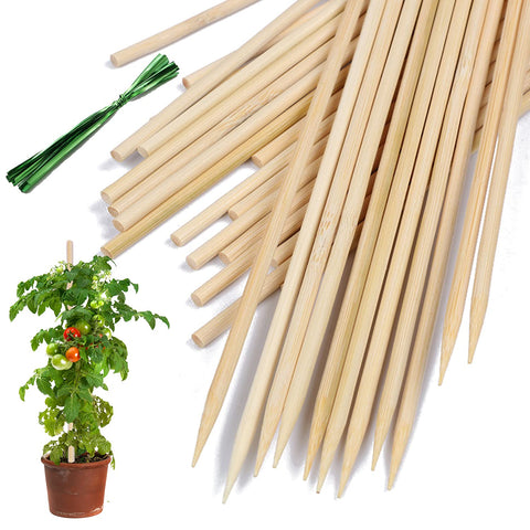 HAINANSTRY bamboo plant stake in soil provides vertical support for potted plants