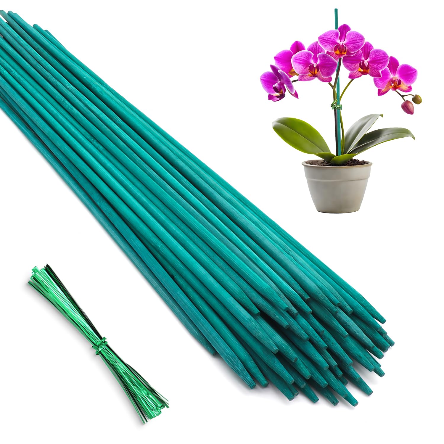 HAINANSTRY bamboo stake 18-inch natural, sturdy support for potted plants.