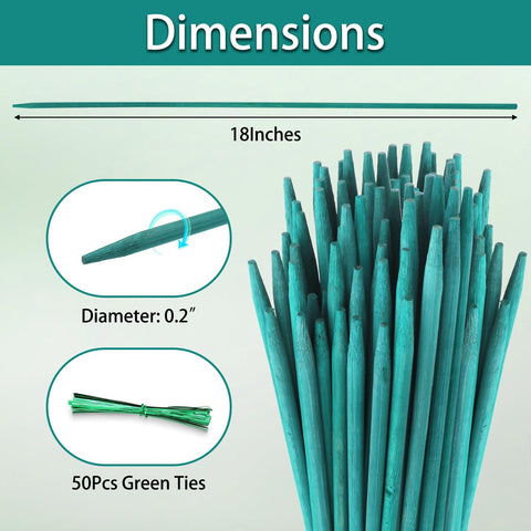 HAINANSTRY bamboo stake for indoor and outdoor plant support.