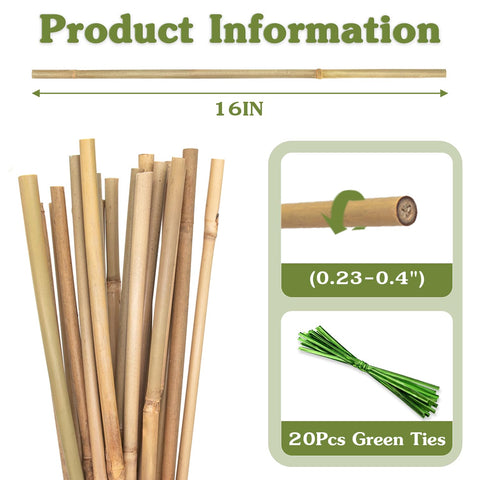 HAINANSTRY bamboo stakes provide reliable support for indoor plants.