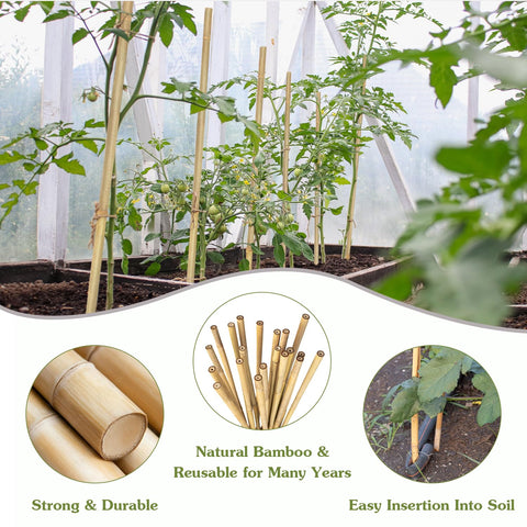 HAINANSTRY bamboo sticks closeup reveals natural texture and lasting strength for garden support.