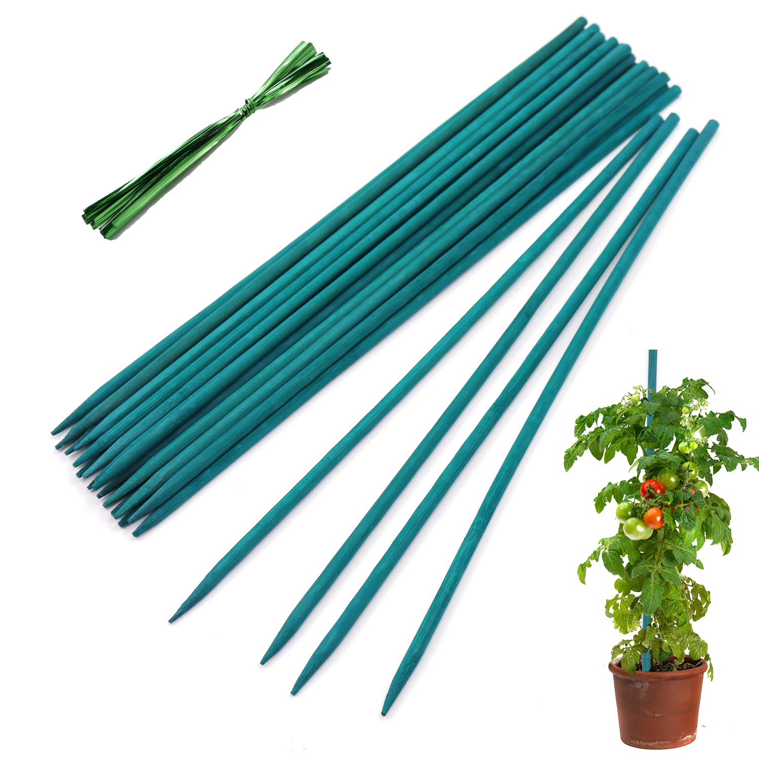 HAINANSTRY garden stake with green bamboo supports young plants in pots and beds.