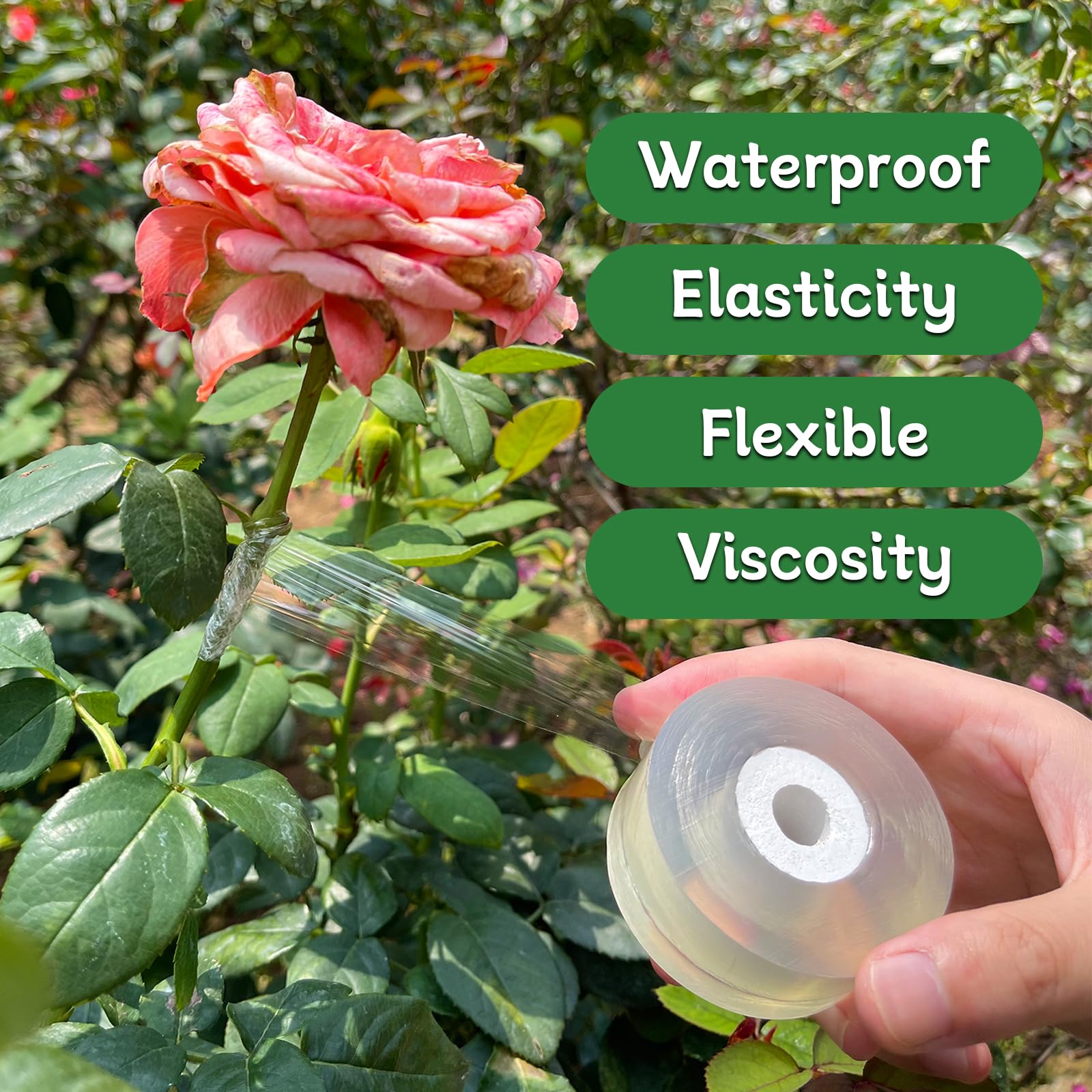 HAINANSTRY grafting tape applied on a tree illustrating simple graft support