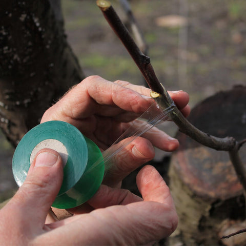 HAINANSTRY grafting tape colorful set demonstrates varying elasticity options