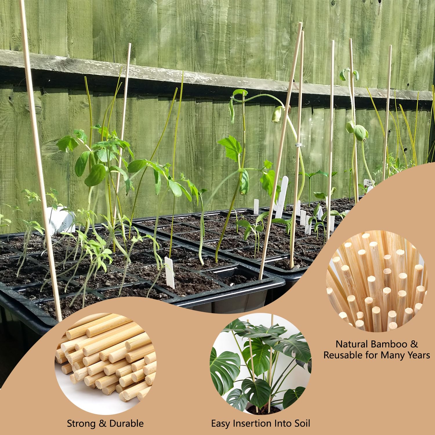 HAINANSTRY green ties secure stakes without harming delicate plants