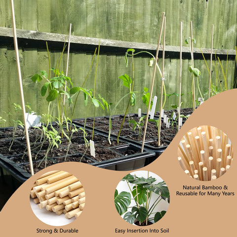 HAINANSTRY green ties secure stakes without harming delicate plants