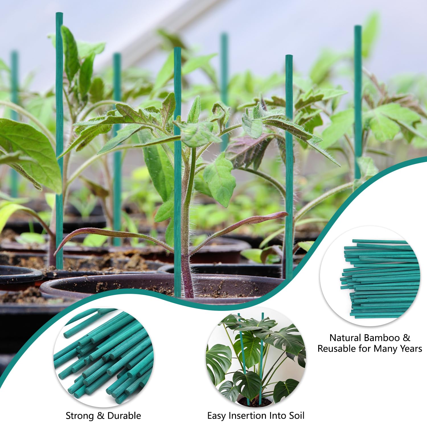 HAINANSTRY green ties included for quick secure plantings.