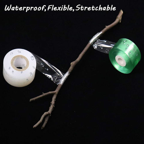 HAINANSTRY green and white packaging display communicates quality for home gardeners.