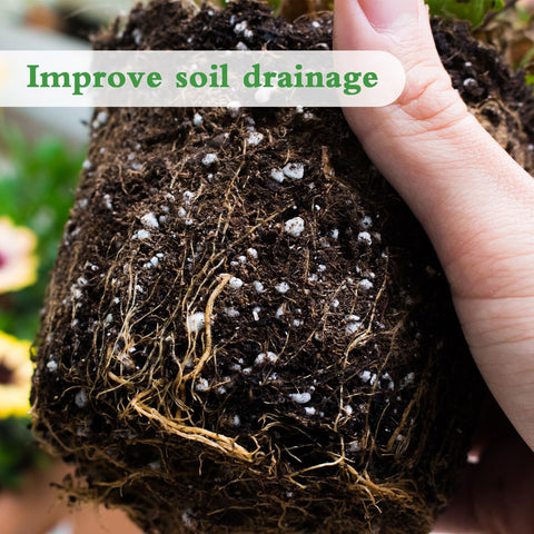 HAINANSTRY Organic Perlite in potting mix demonstrating durable, lightweight texture