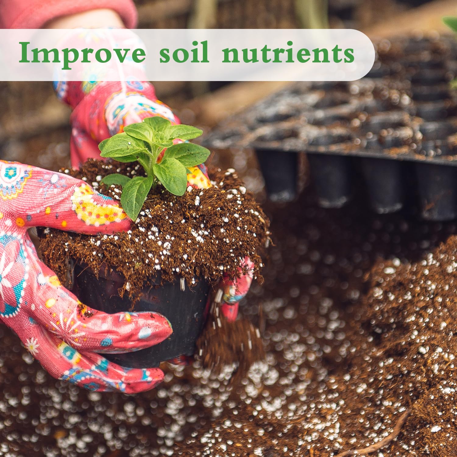 HAINANSTRY Organic Perlite bag closeup highlighting drainage-friendly soil amendment