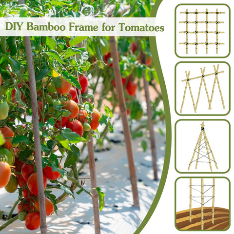 HAINANSTRY outdoor garden stakes used to support climbing plants in sunlight.