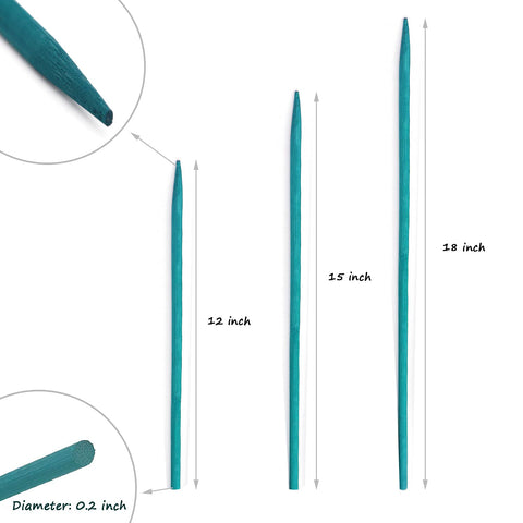 HAINANSTRY 18-inch plant stake keeps flowering stems upright and tidy.