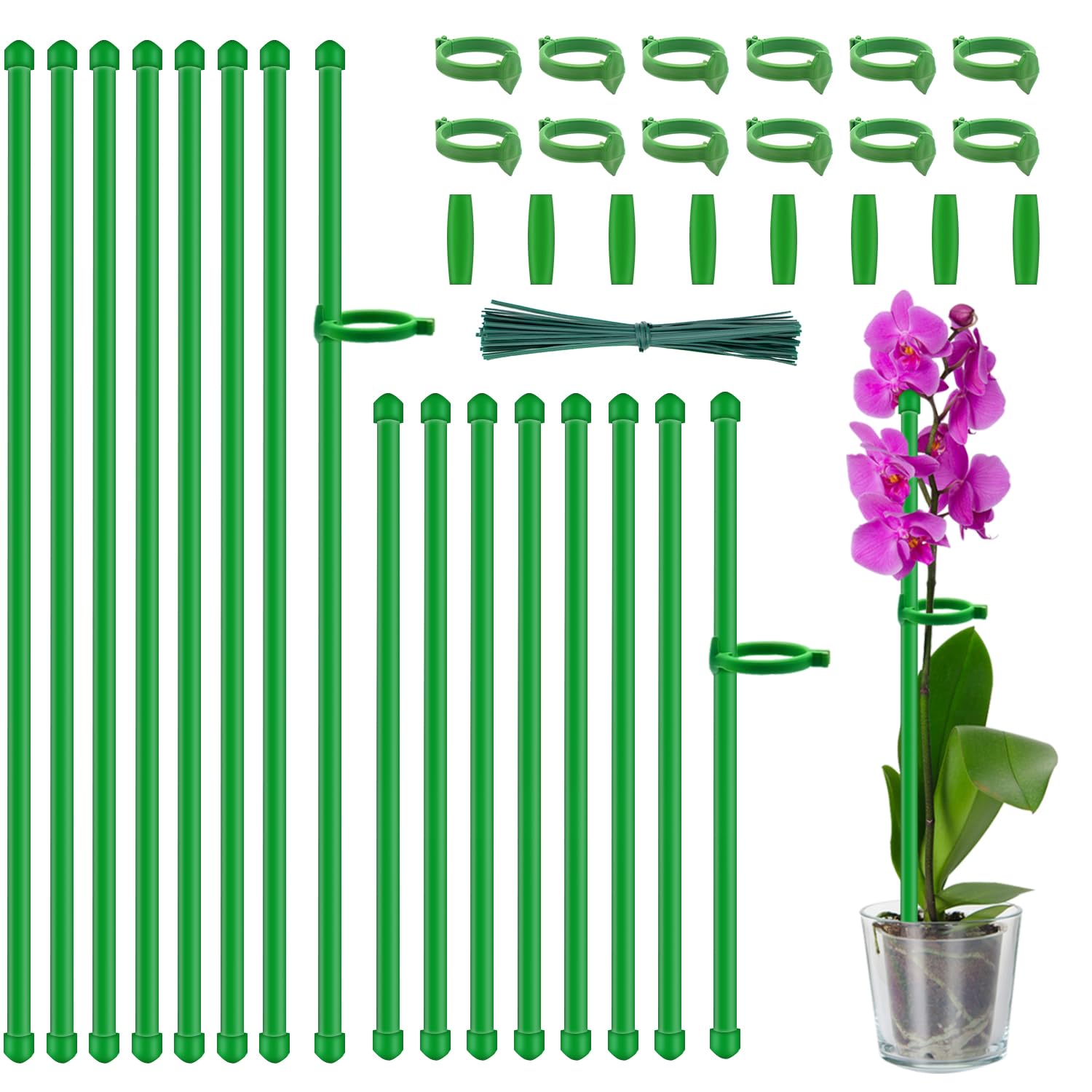 HAINANSTRY 18-inch plant stake supports tomatoes and flowers for a tidy garden