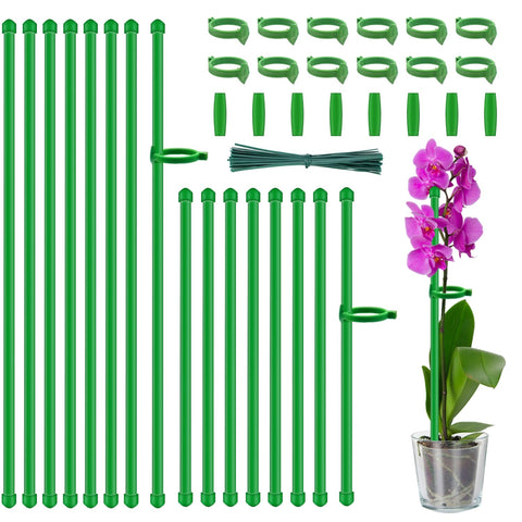 HAINANSTRY 18-inch plant stake supports tomatoes and flowers for a tidy garden