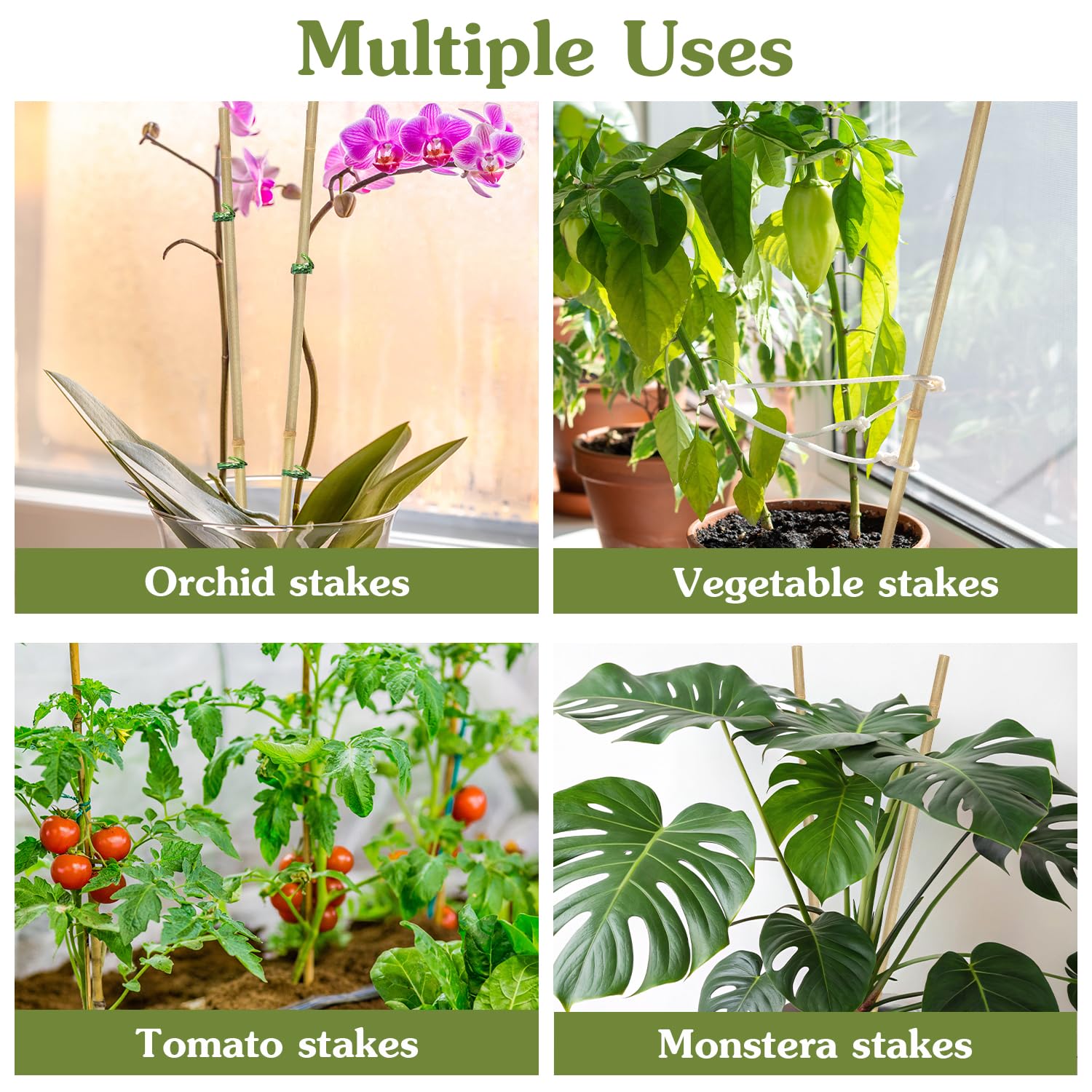 HAINANSTRY plant stakes tomato-stake helps tomato plants grow upright for better sun exposure.