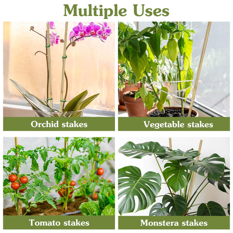 HAINANSTRY plant stakes tomato-stake helps tomato plants grow upright for better sun exposure.