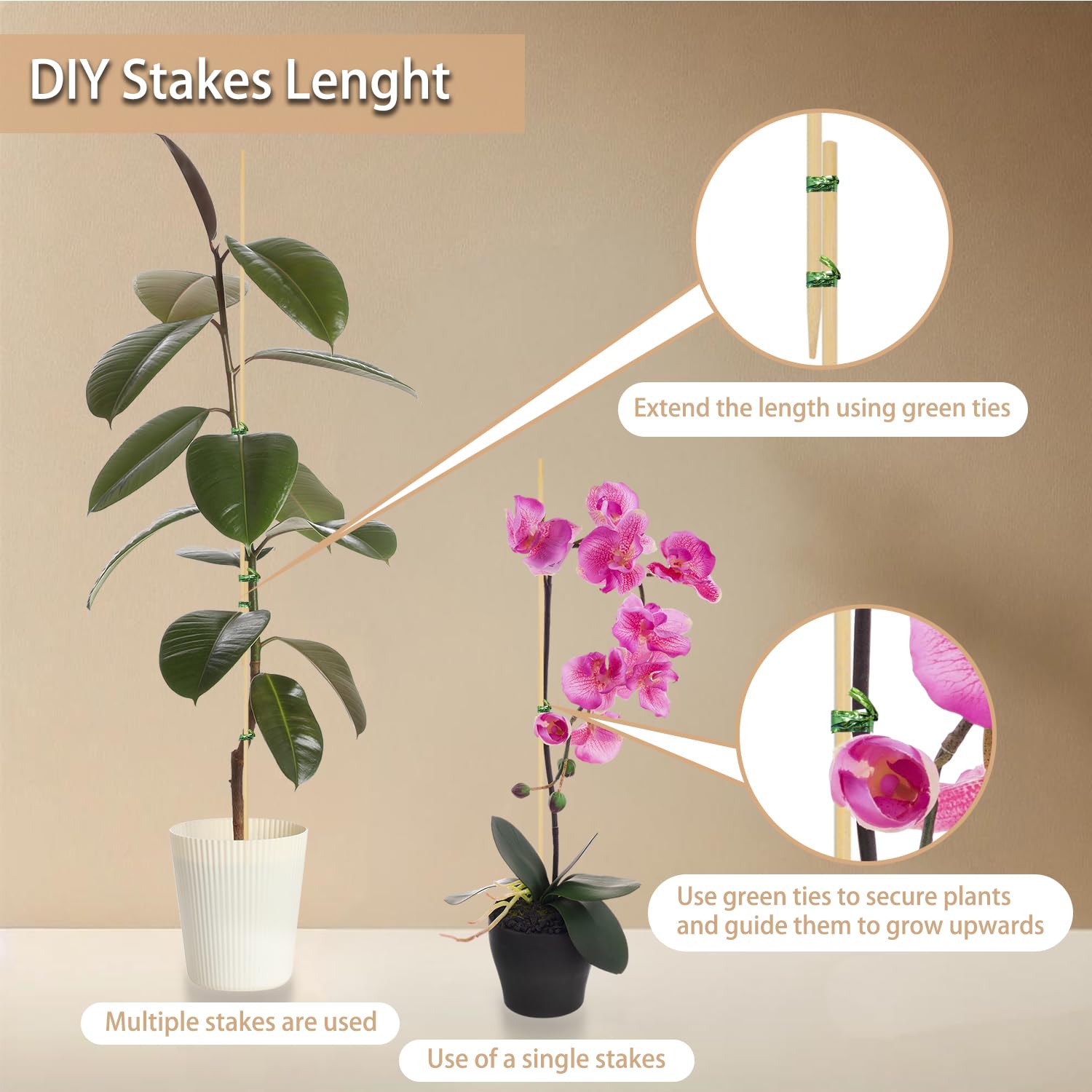 HAINANSTRY plant-support stakes ideal for tomatoes and vegetables in gardens
