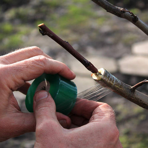 HAINANSTRY poly budding tape close-up shows 3 cm width for sturdy grafting.