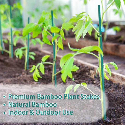 HAINANSTRY straight style bamboo stakes blend with garden aesthetics.