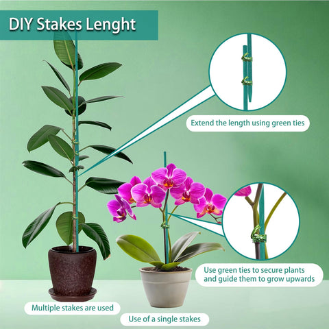 HAINANSTRY tomato stake with pointed tip for easy insertion.