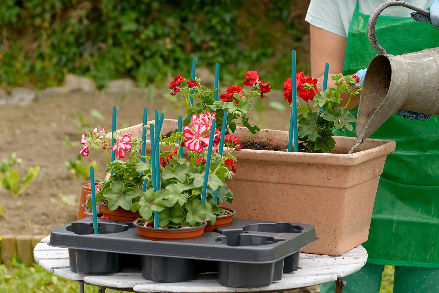 HAINANSTRY colorfast stakes resist fading and water staining for outdoor use.