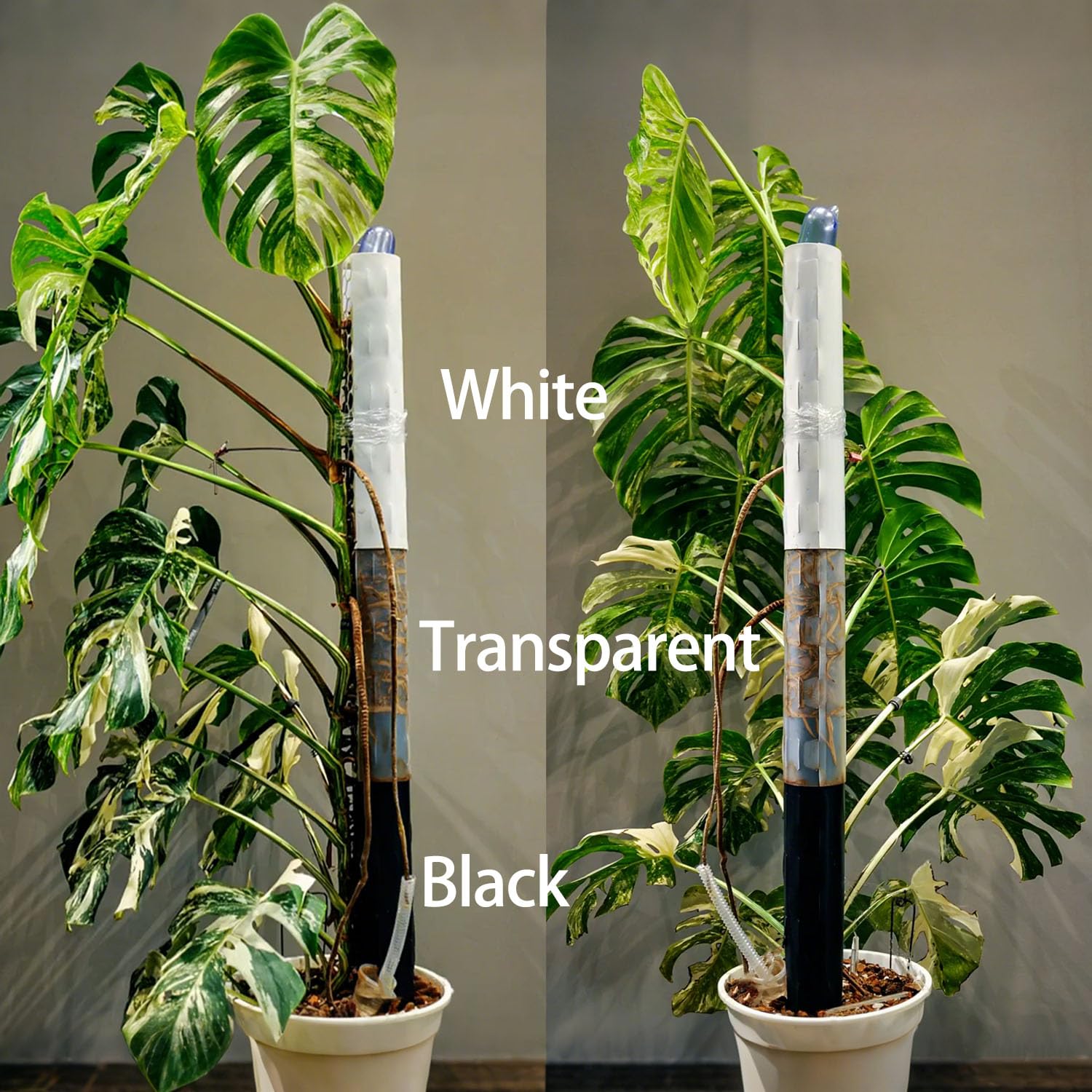 Haispring durable PP plastic construction extends pole life