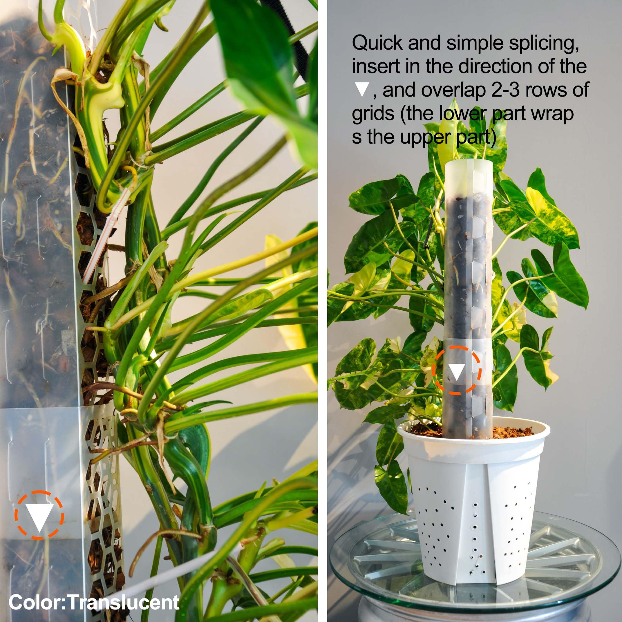 Haispring moss poles paired with sphagnum provide steady moisture