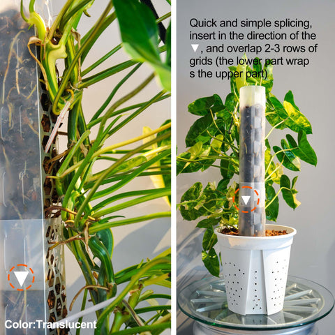 Haispring moss poles paired with sphagnum provide steady moisture