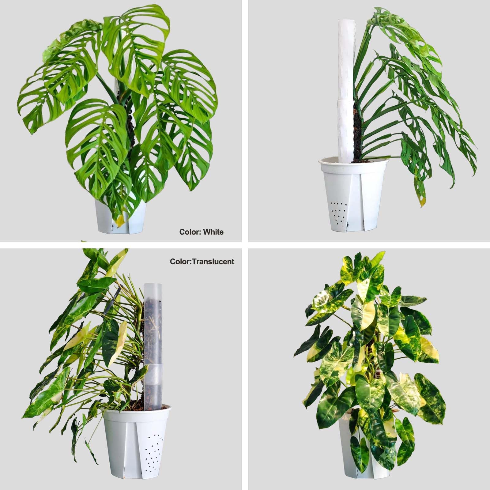 Haispring stackable design allows customizable height for vertical growth