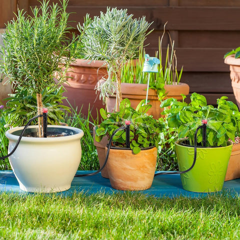 Hakioi irrigation solution for flowers and vegetables with steady watering
