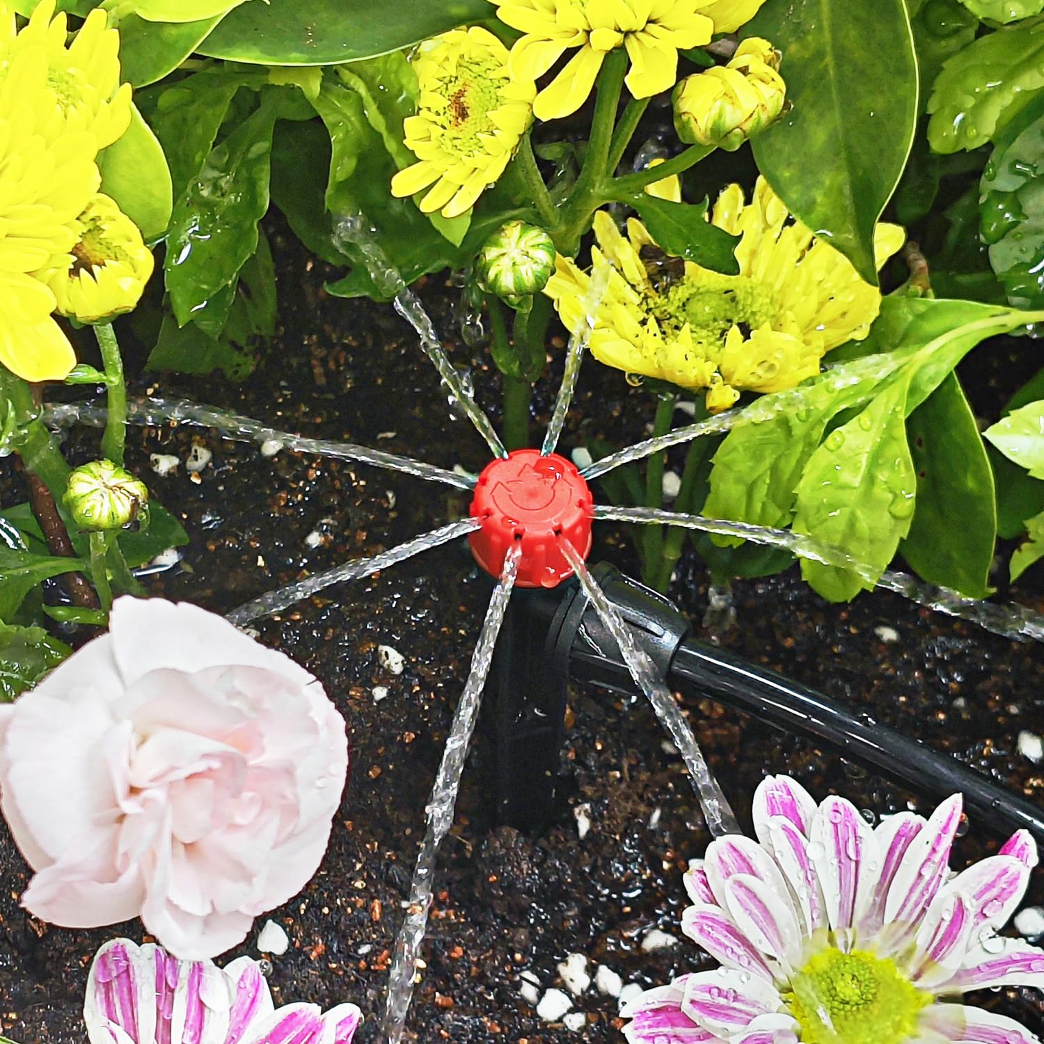 Hakioi garden-watering-system demonstrates slow, steady irrigation for healthy root zones.