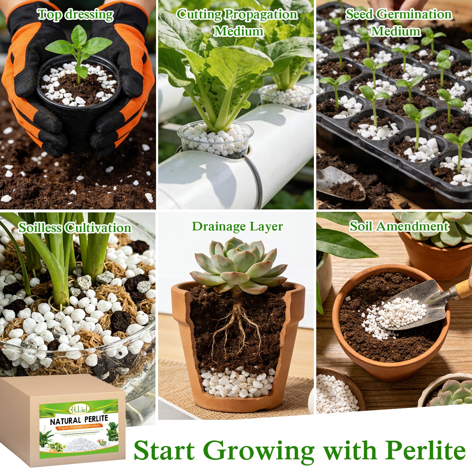 Halatool perlite suits acid-loving plants and avoids overwatering risks.