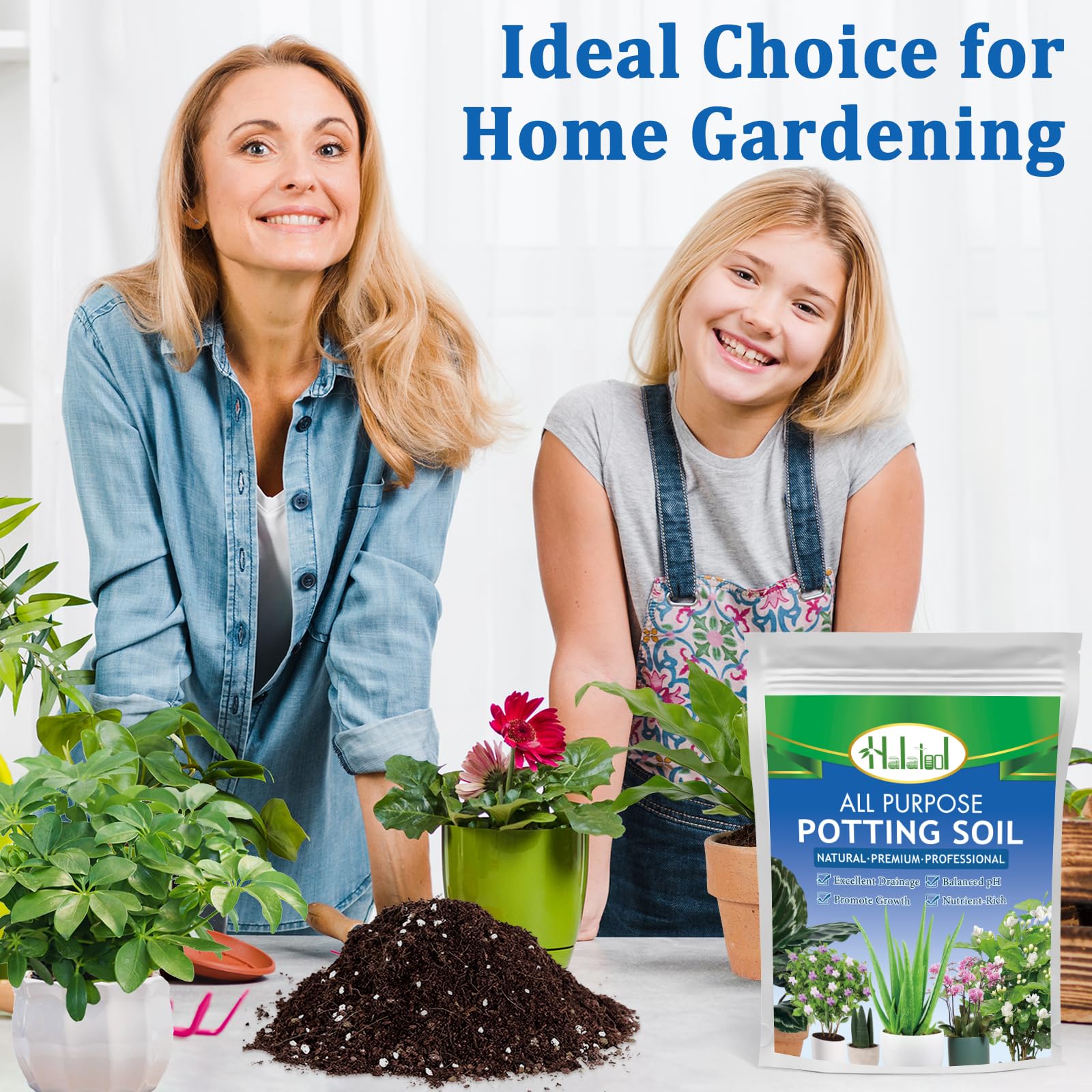 Halatool aquarium potting soil aids impurity absorption and clearer water.