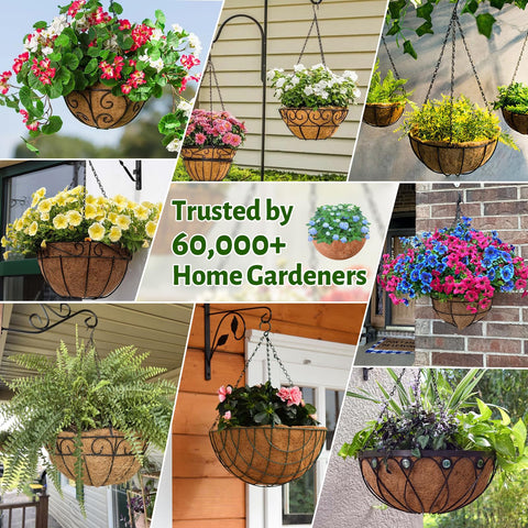 Halatool balcony-garden-display adds natural texture and thriving greenery.