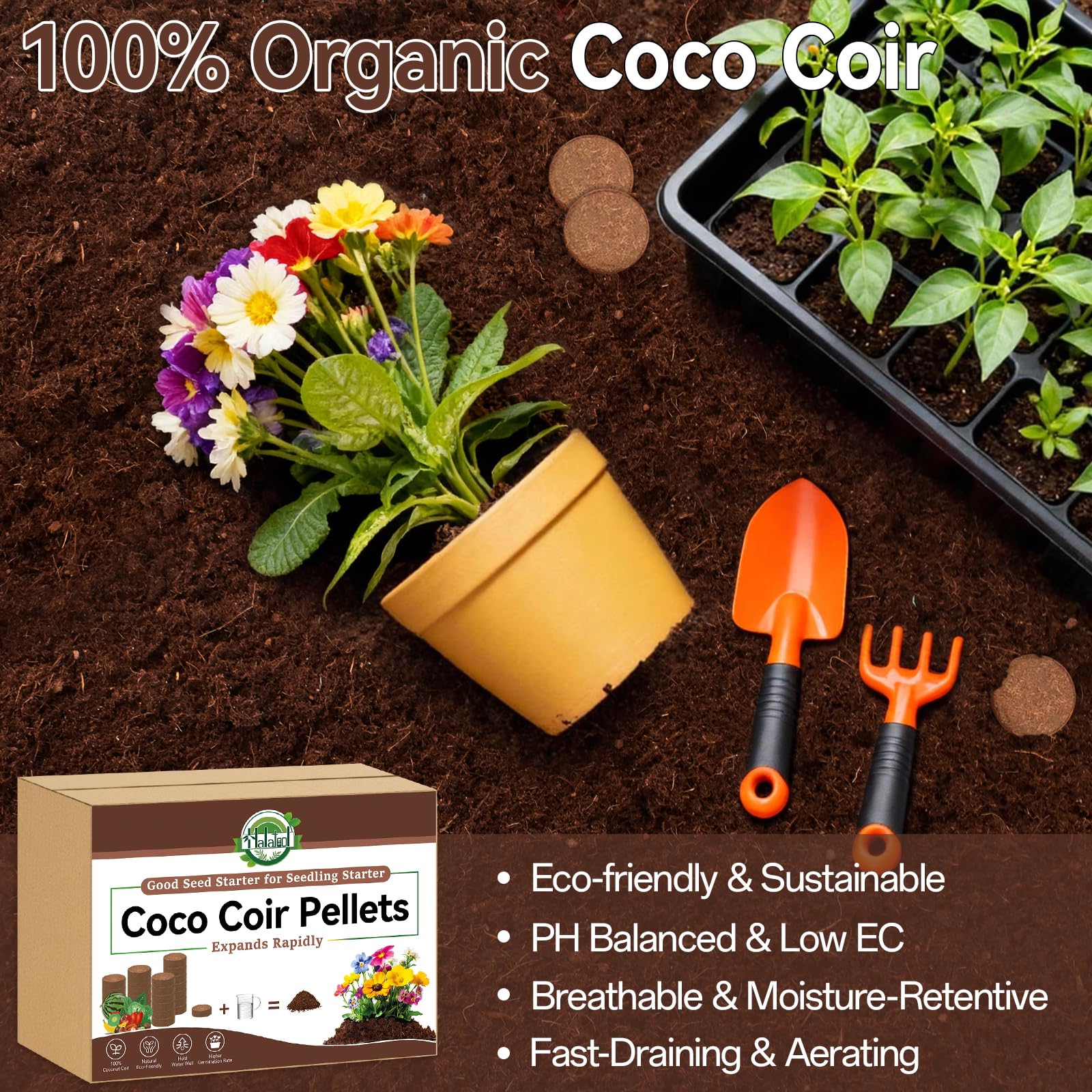 Halatool coco-coir-blocks provide airy moisture-retentive medium for healthy roots.