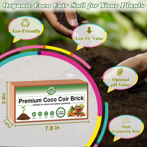Halatool coco coir brick expanded after soaking, ready for seedlings.