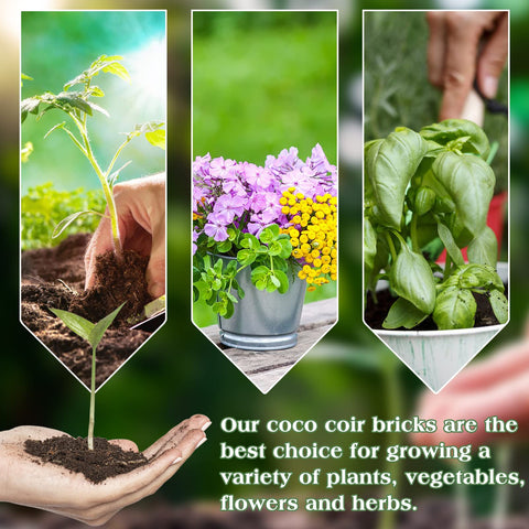 Halatool coco coir brick used in pots enhances container gardening.